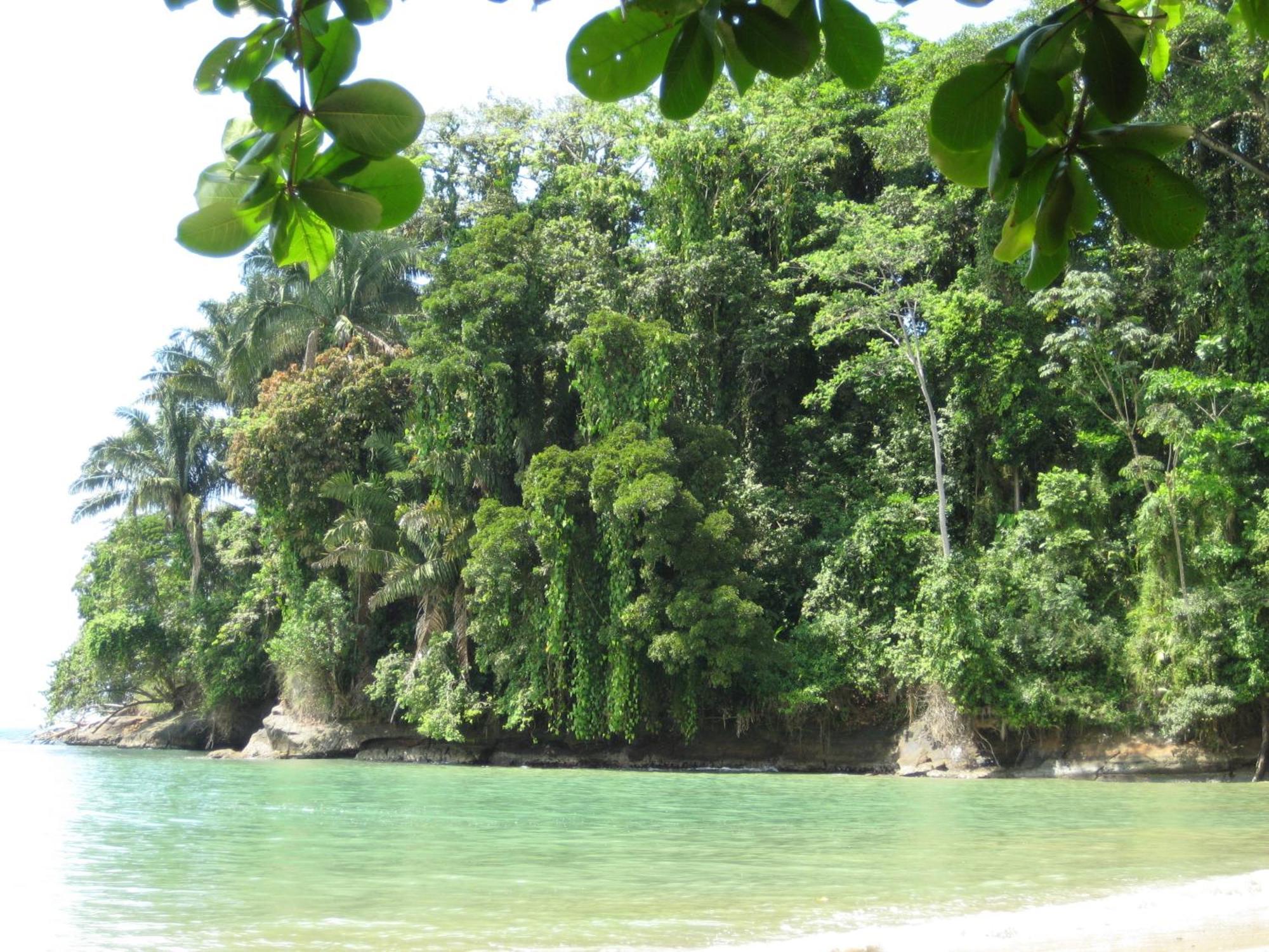 El Tucan Jungle Lodge Puerto Viejo de Talamanca ภายนอก รูปภาพ