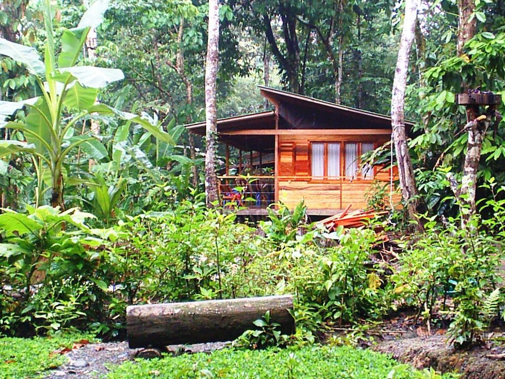 El Tucan Jungle Lodge Puerto Viejo de Talamanca ภายนอก รูปภาพ