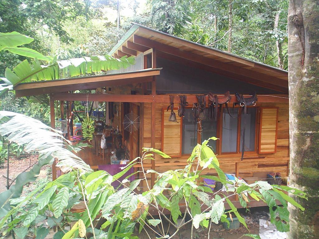 El Tucan Jungle Lodge Puerto Viejo de Talamanca ห้อง รูปภาพ