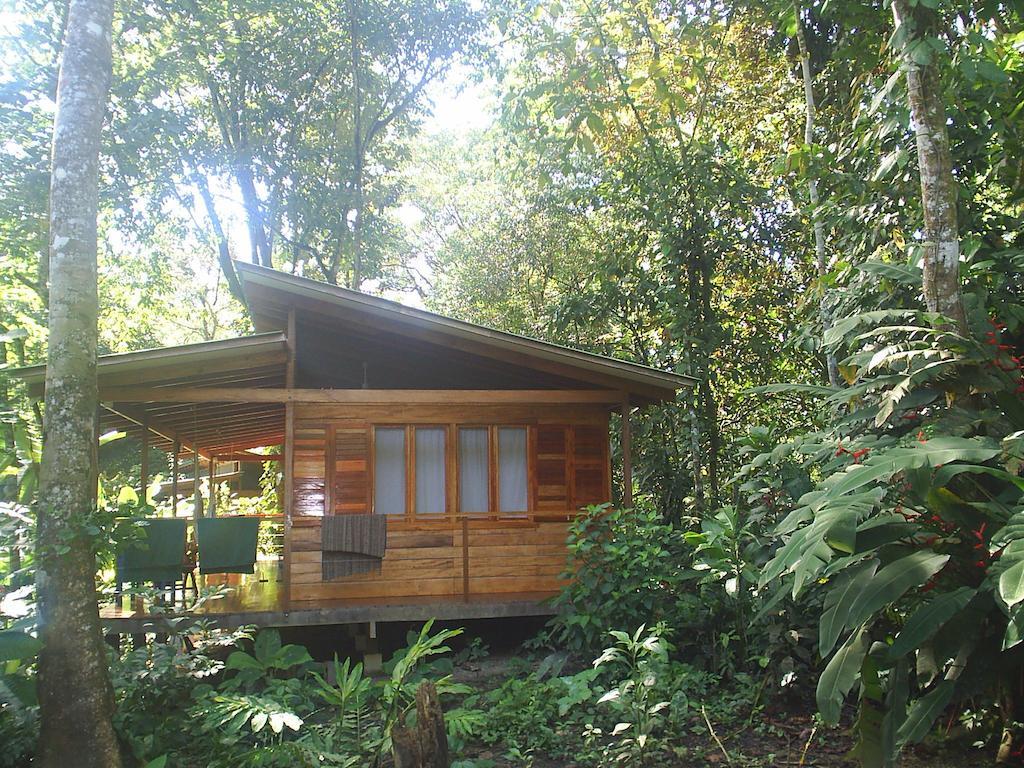 El Tucan Jungle Lodge Puerto Viejo de Talamanca ห้อง รูปภาพ