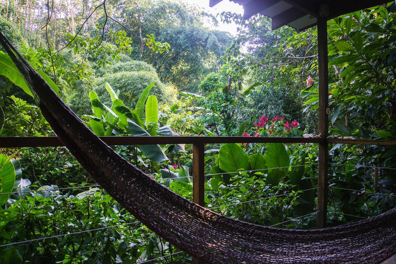 El Tucan Jungle Lodge Puerto Viejo de Talamanca ภายนอก รูปภาพ