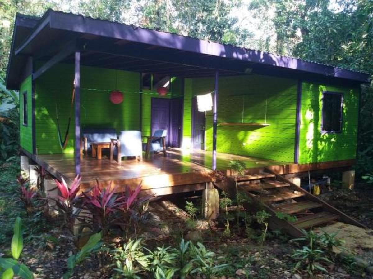 El Tucan Jungle Lodge Puerto Viejo de Talamanca ภายนอก รูปภาพ