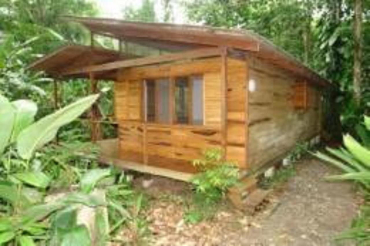 El Tucan Jungle Lodge Puerto Viejo de Talamanca ภายนอก รูปภาพ