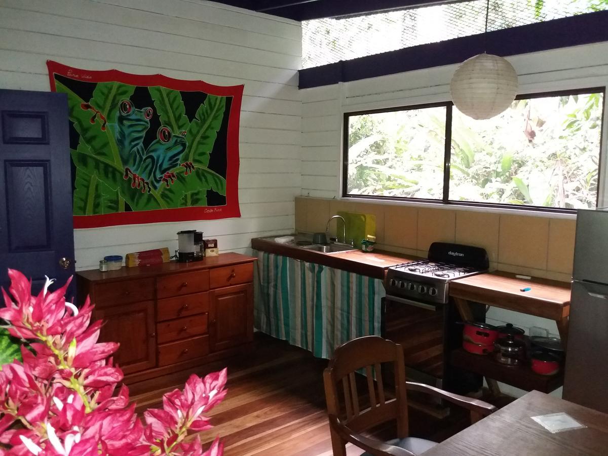 El Tucan Jungle Lodge Puerto Viejo de Talamanca ภายนอก รูปภาพ
