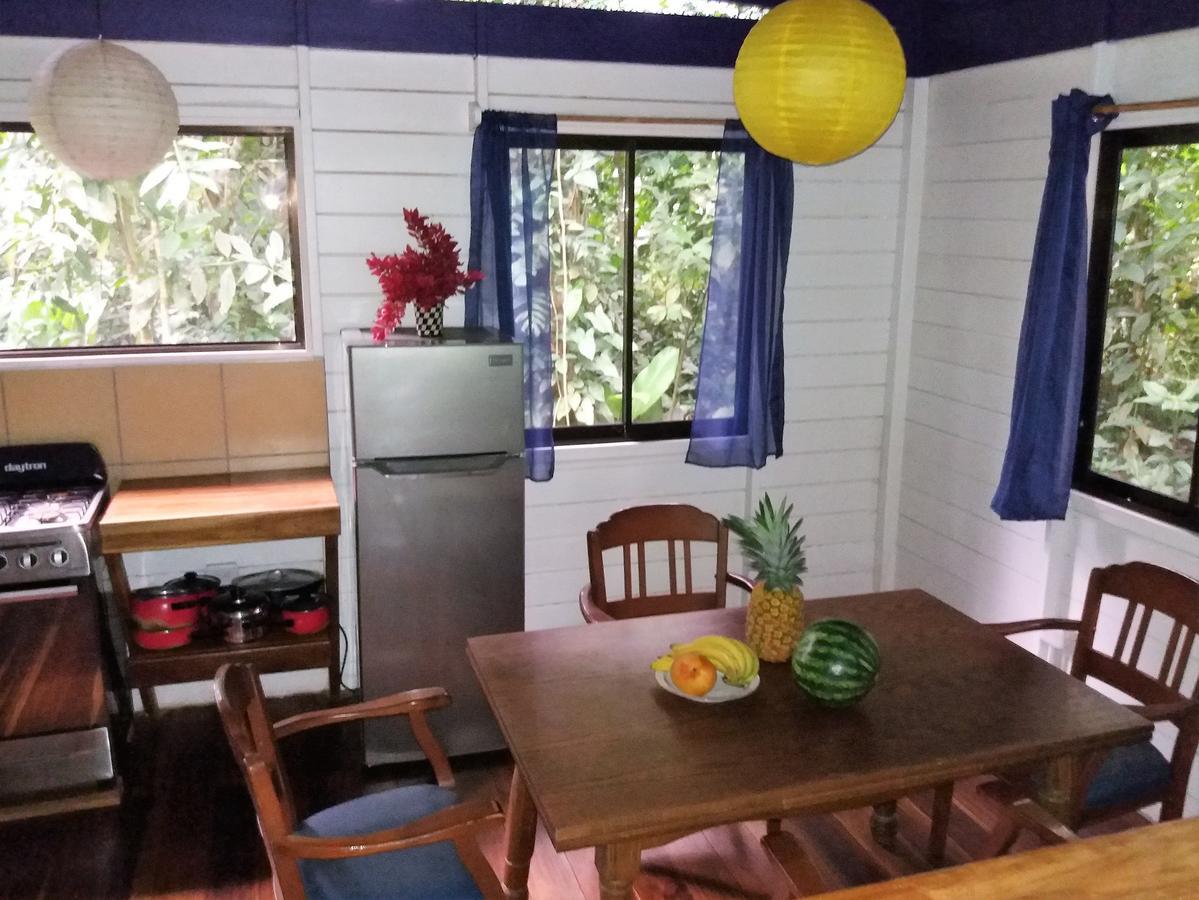 El Tucan Jungle Lodge Puerto Viejo de Talamanca ภายนอก รูปภาพ